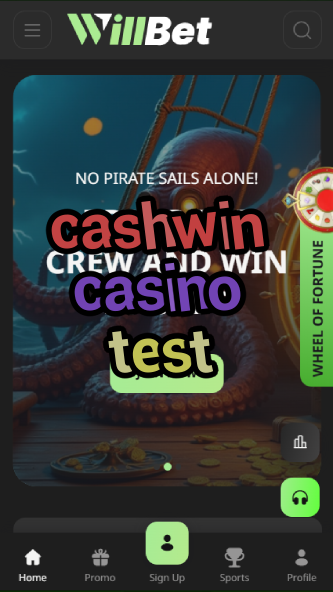 cashwin casino test-asdasdzhjkds.com
